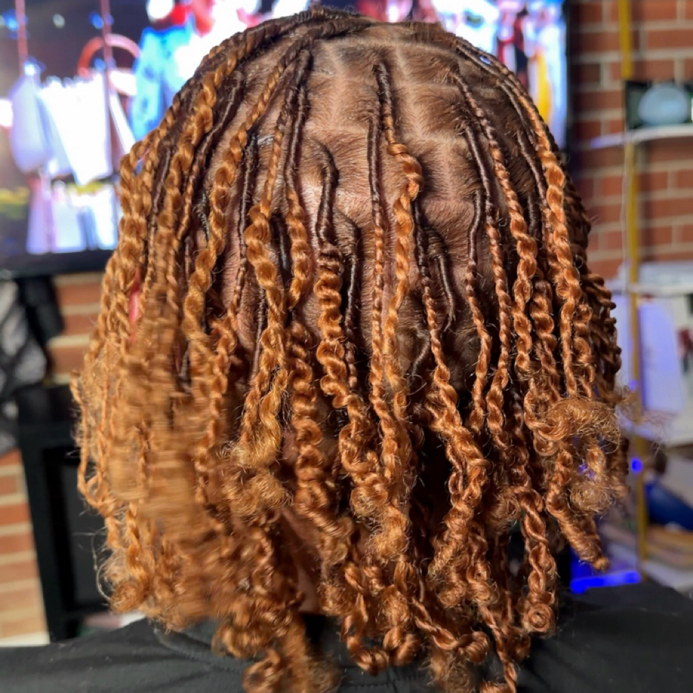Starter locs with two strand twists at B. Natural Hair & More in Rocky Mount, NC