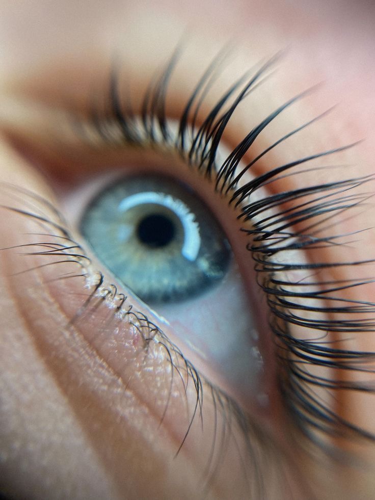 Lash Tint