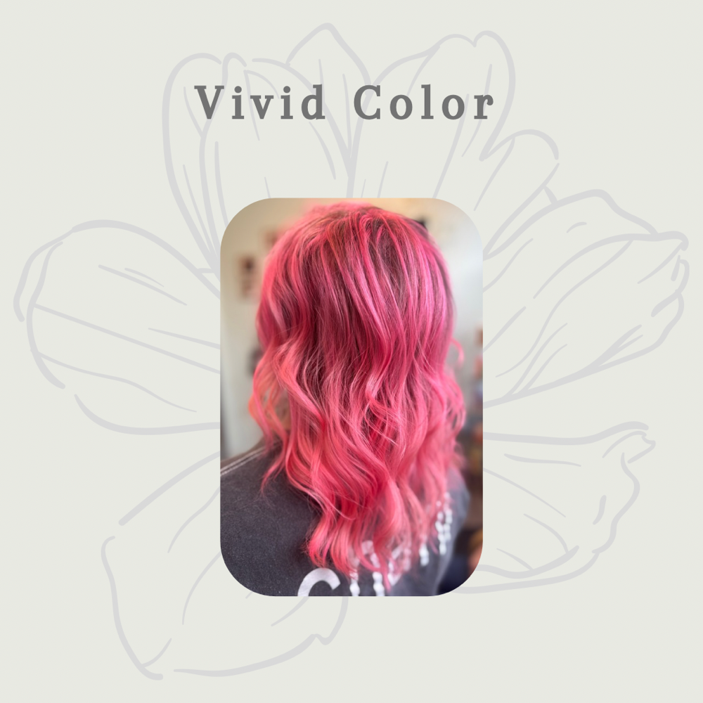 Fashion Color/ Vivid Service