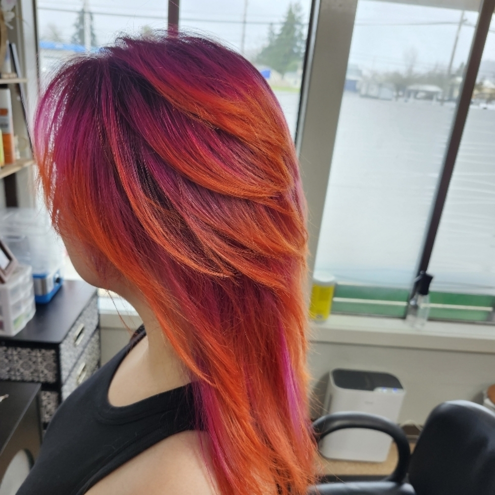 Fashion Colors ( Rainbow Colors) at Anns Hair Studio in Springfield, OR