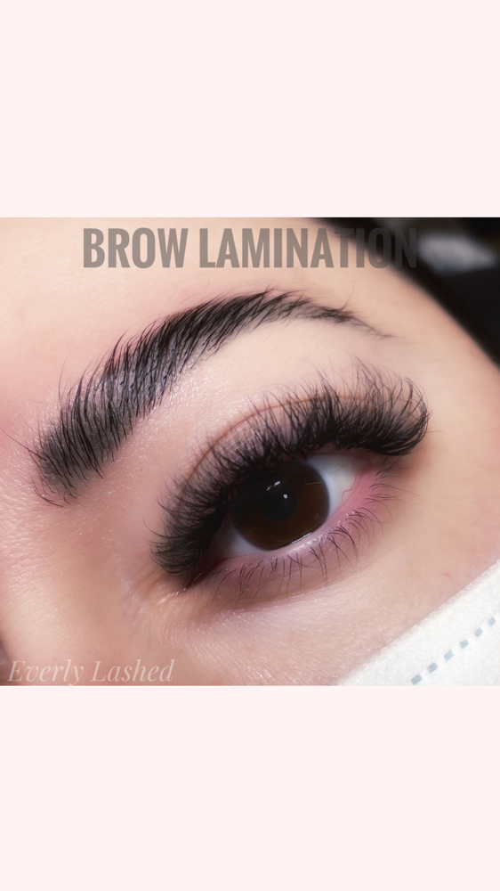Brow Lamination