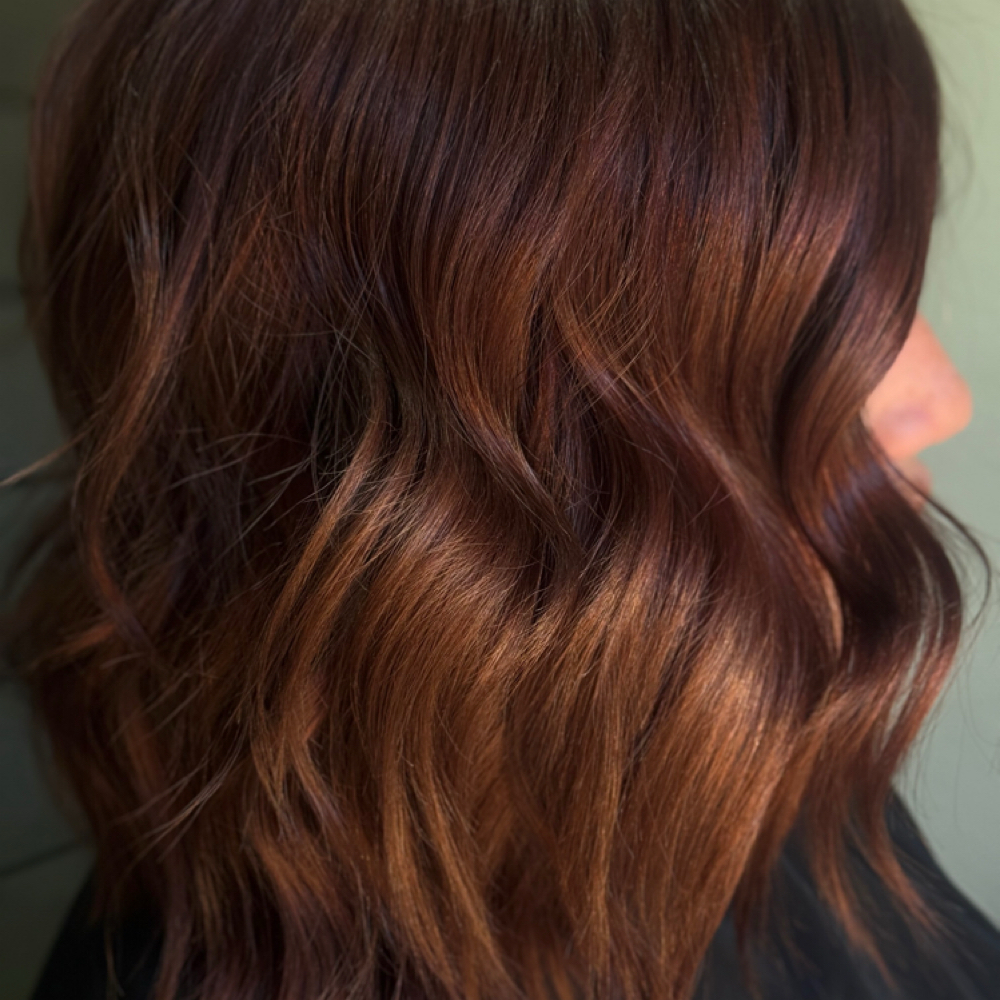 Grey Coverage Roots at Honey Hush Salon in Harrison, AR