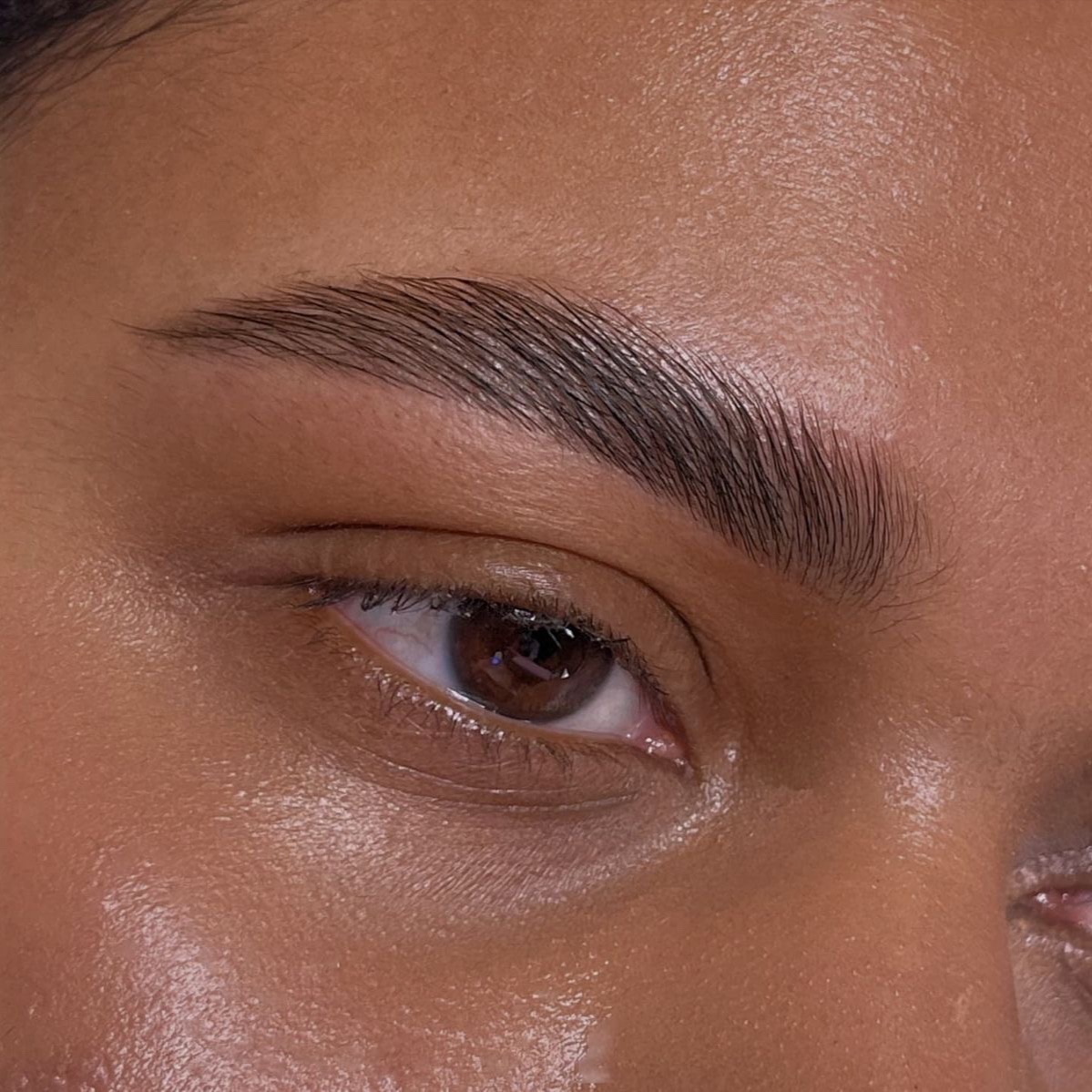 Brow Lamination at Charlotte the Esti in Vernon, MI