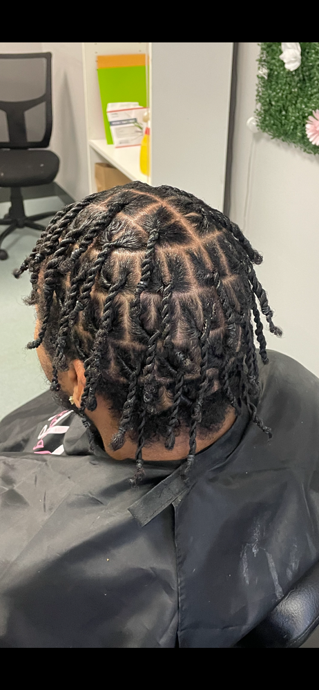 2 strand twist