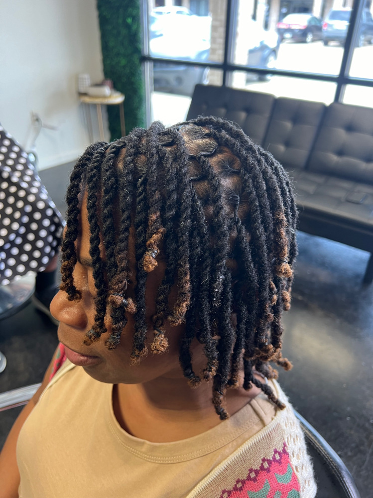 Retwist & Style (2 Strands/Plaits)