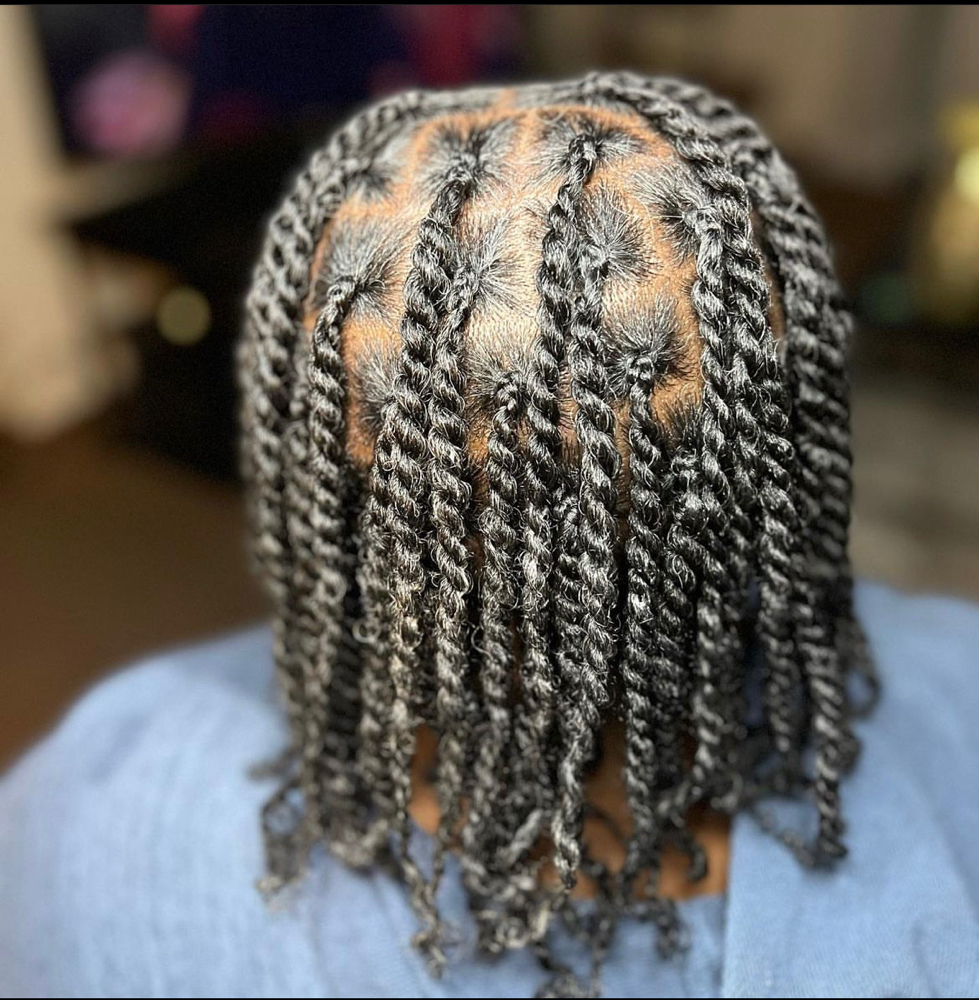 Natural Single Braids/twists