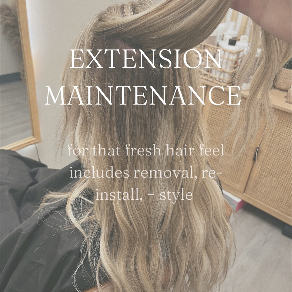 EXTENSION MAINTENANCE