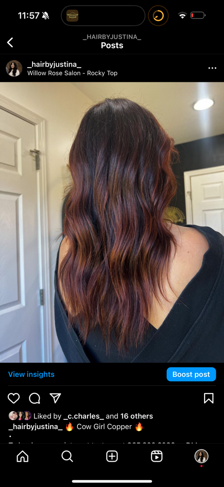 The Base Color & Balayage Package