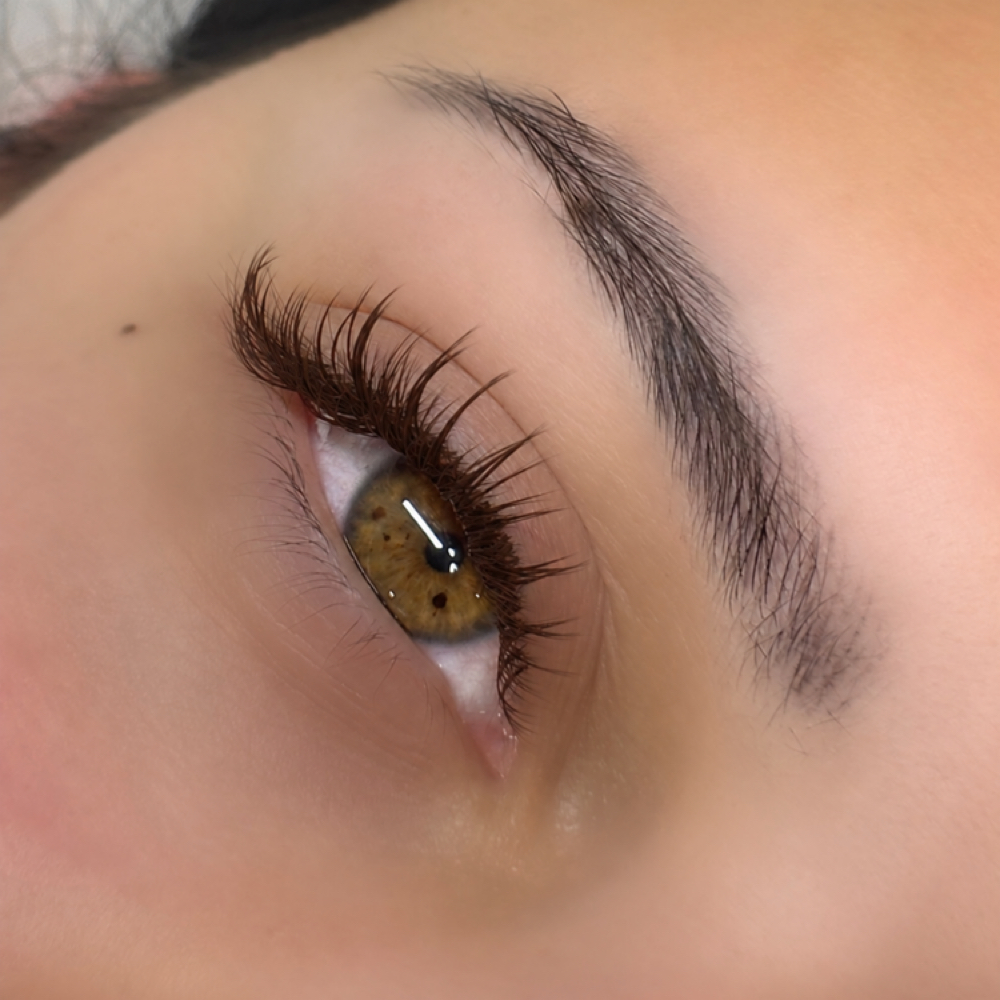 Chocolate Wispy Set at LASHES LIS in Tampa, FL