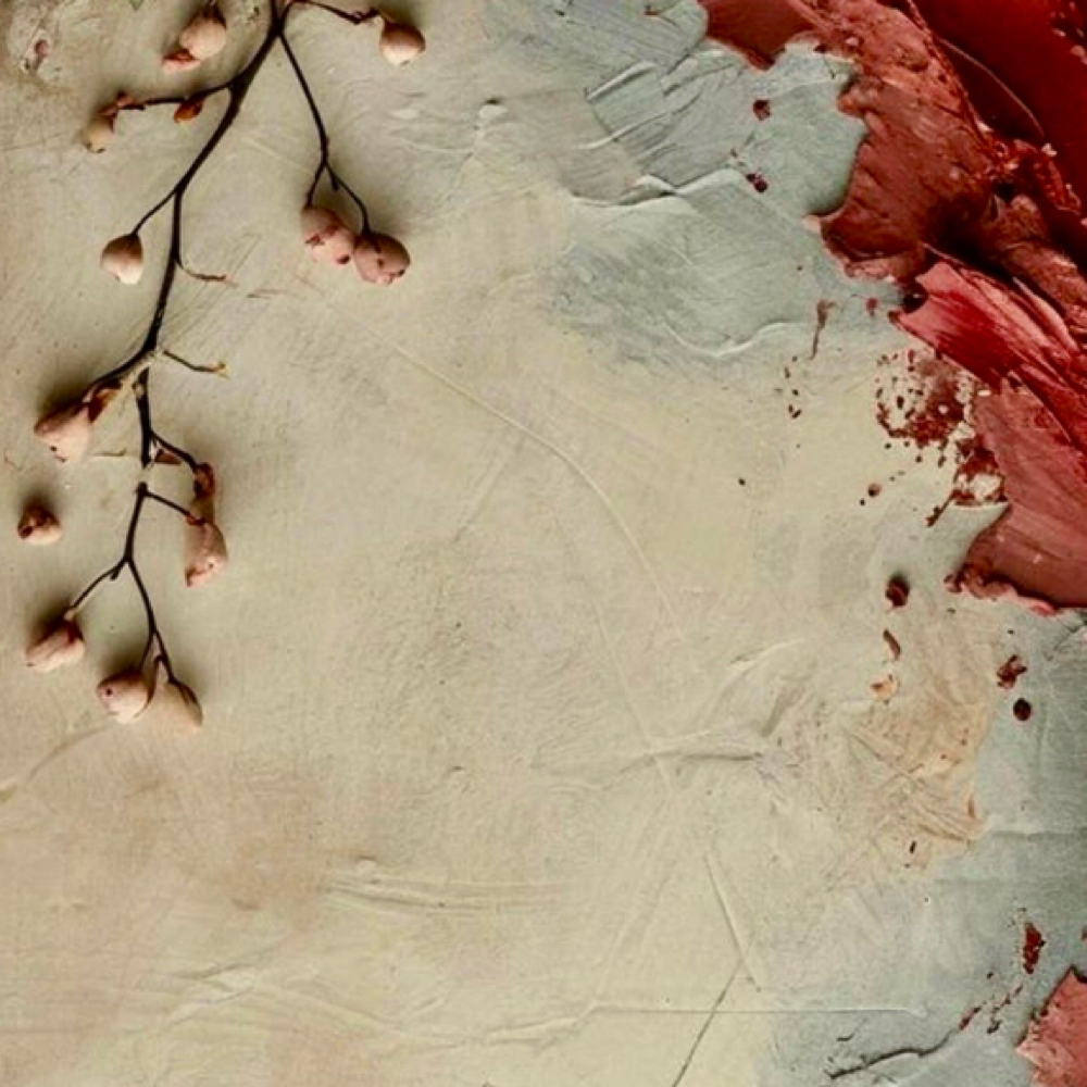 Kids Shampoo cut and style at Stephanie Carneal Hair At Knowbull Beauty in Clarksville, TN