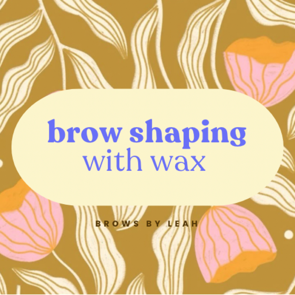 Returning Client Brow Wax + Shaping at Brows by Leah in Millbury, MA