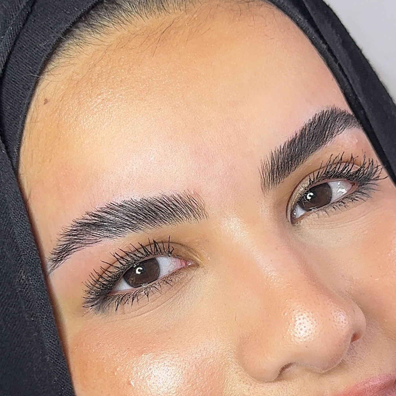 Brow Lamination + Tint at BeautyBySalena in Dearborn, MI