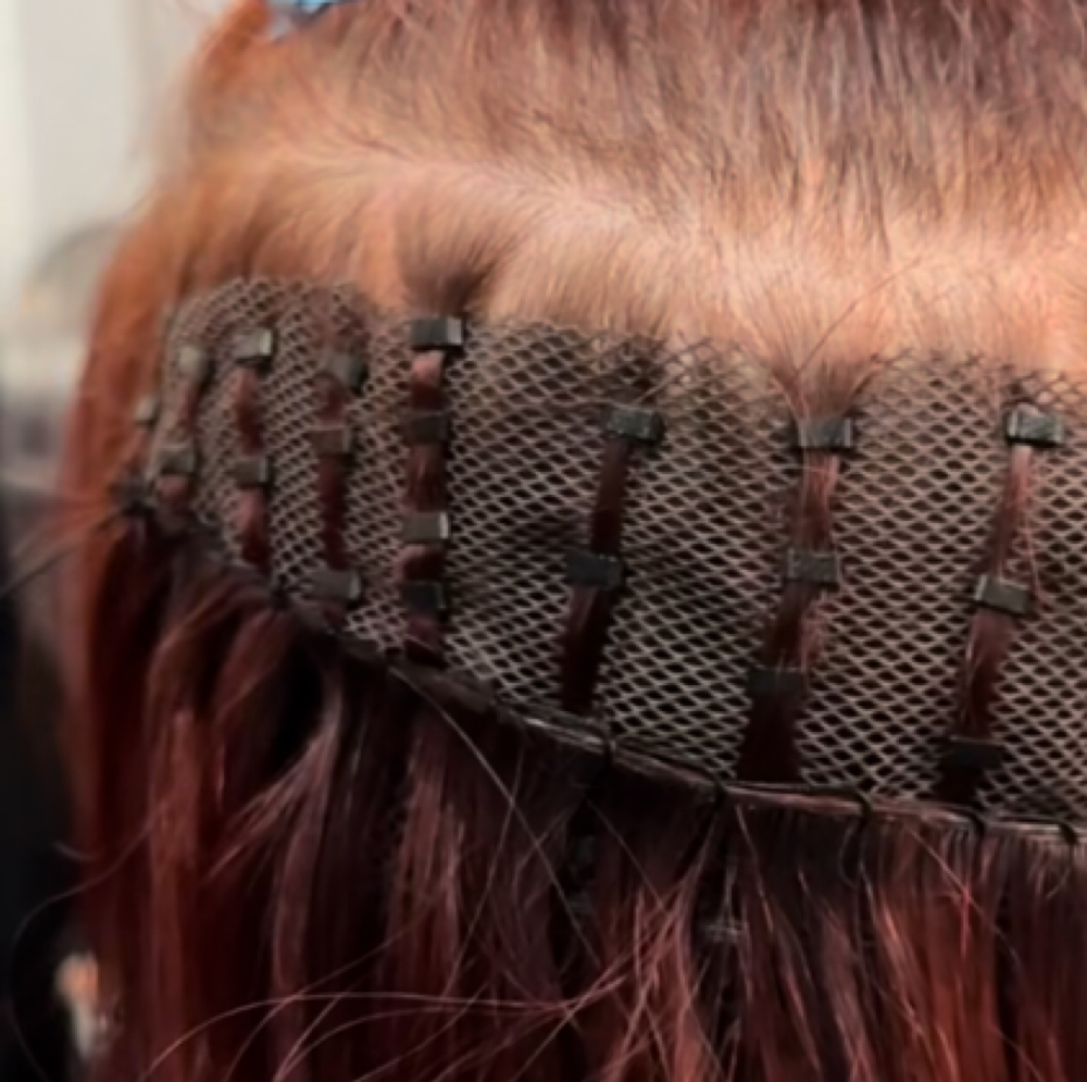 Mesh Integration Consultation