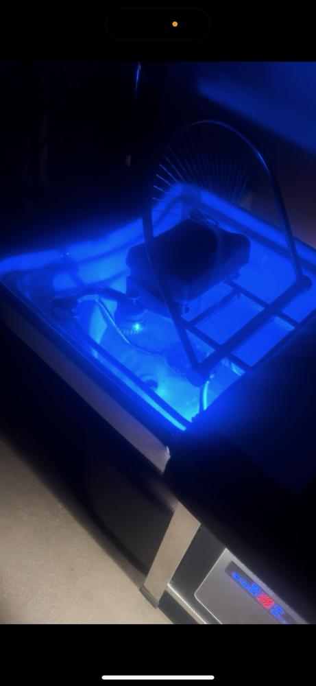 Japanese Head Spa Experience at High Siddity Inc in Indianapolis, IN