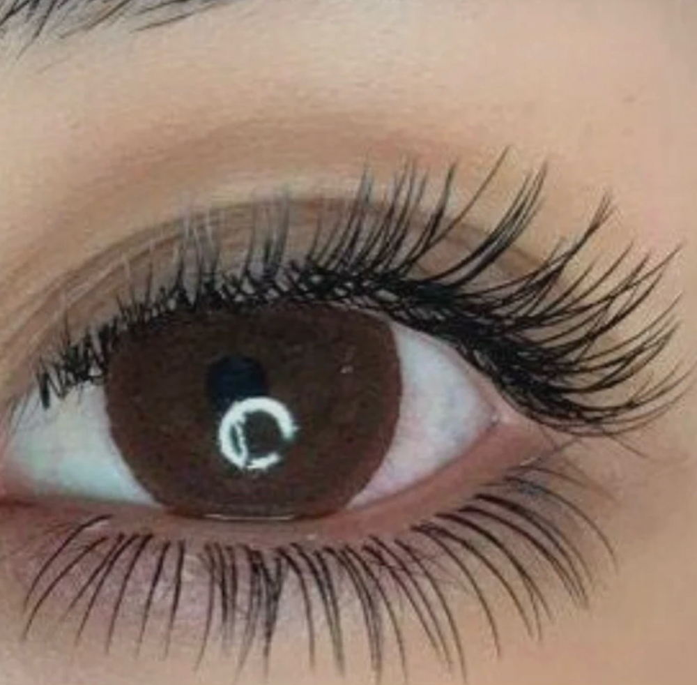Bottom Lashes Upgrade