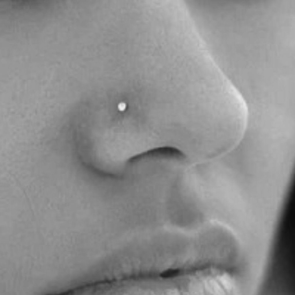 Nose Piercing at NY INK STUDIO in New Rochelle, NY