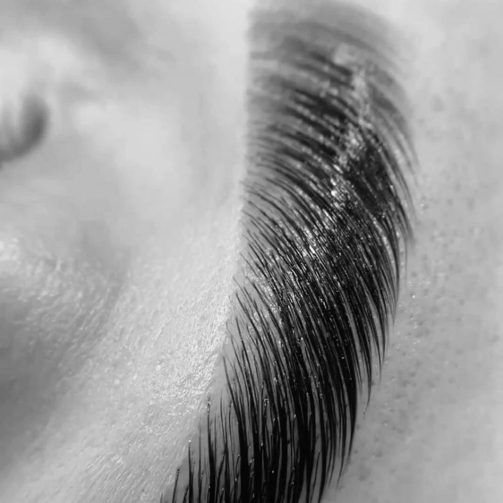 Brow Tint at Am Luxe Artistry in Orlando, FL
