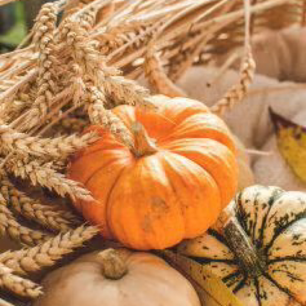 Fall Spa Pedicure at The Body Haven in Wagener, SC