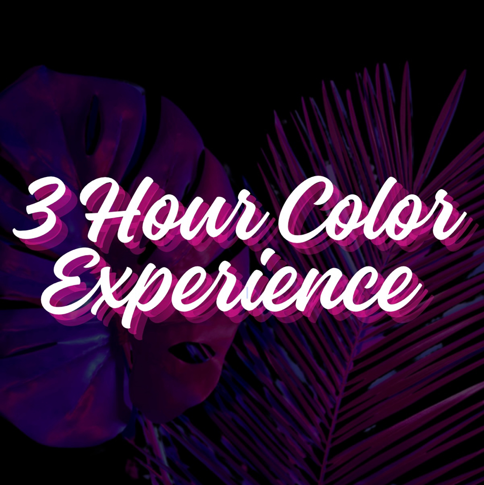 3 Hour Color Experience