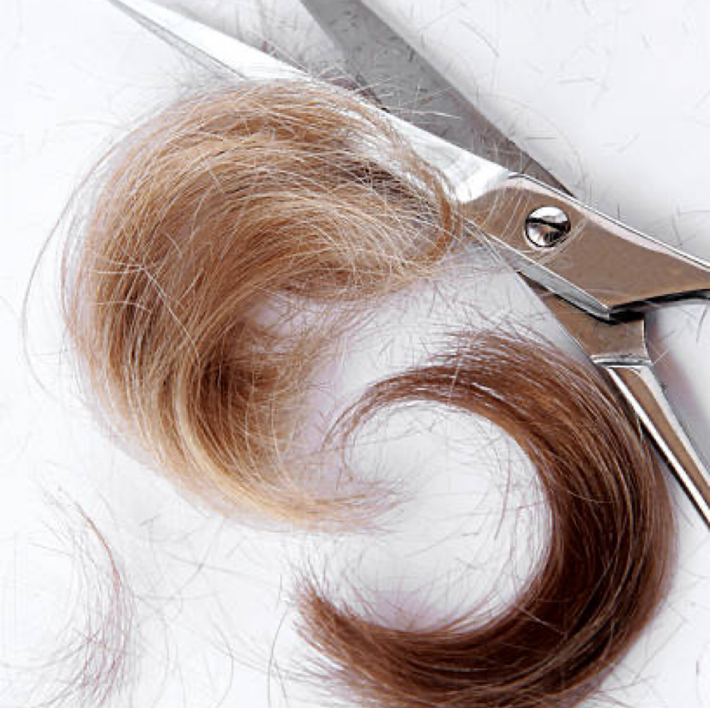 Woman’s Basic Haircut & Shampoo at SandraMarie Hair Studio in Summerville, SC