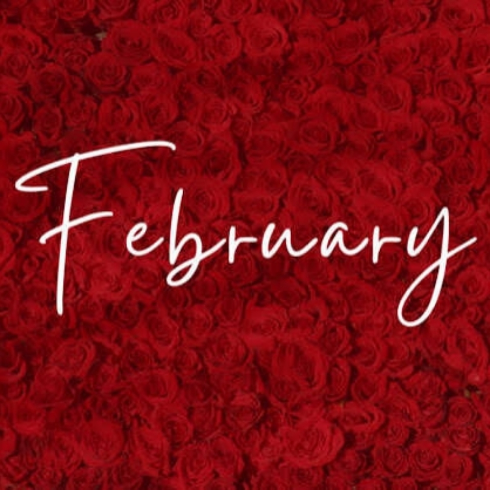 February Powder Brows Special