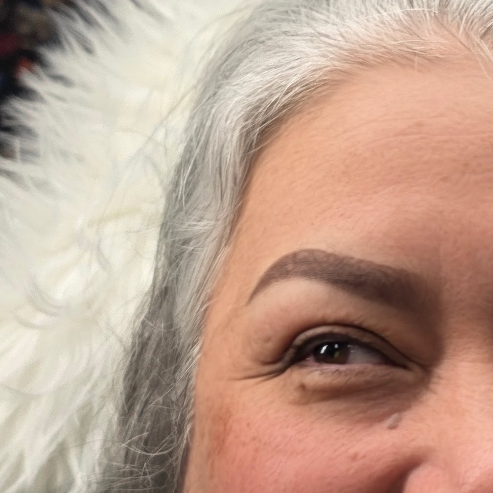 Microshading (New) Brows Package at BrowEnvySA in San Antonio, TX