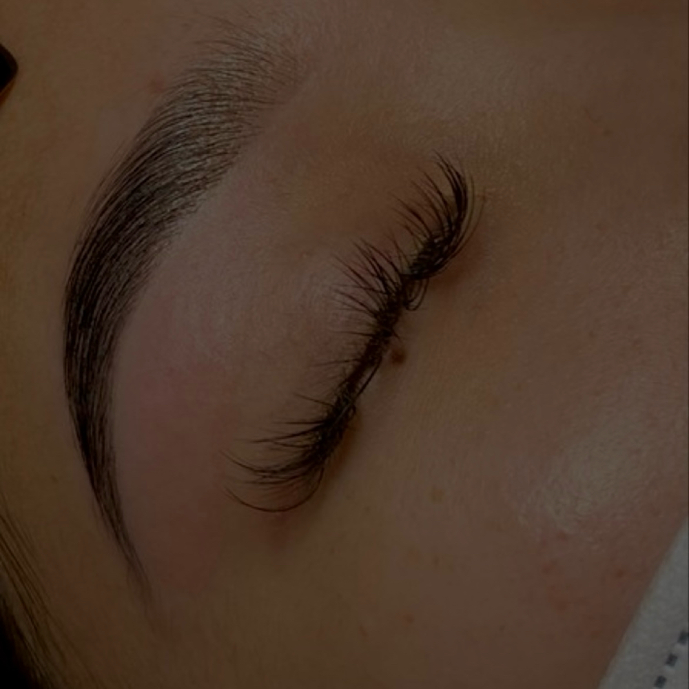 5 STAR BROWS