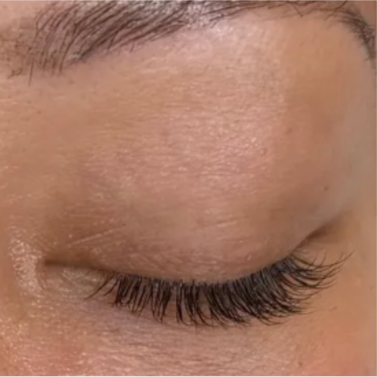 Natural Half Set for New Clients at EverLash Georgetown in Washington, DC
