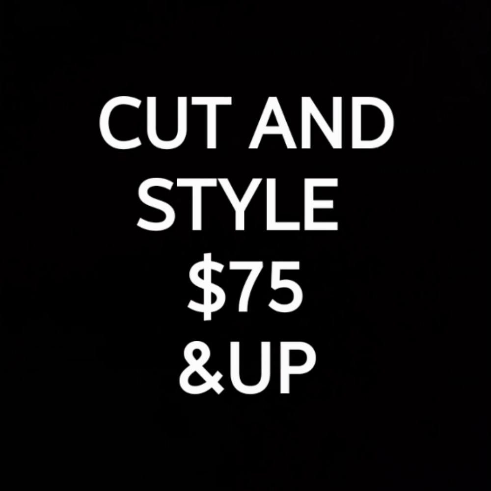 CUT AND STYLE at Weave King Hair Studio in Plano, TX