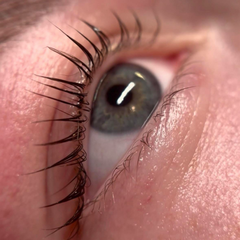 Lash Lift & Tint + Brow Lamination at Beauty Within Esthetics in Milbridge, ME