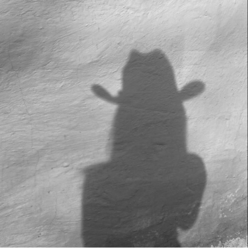 balayage at Desert Blonde Suite in Chandler, AZ