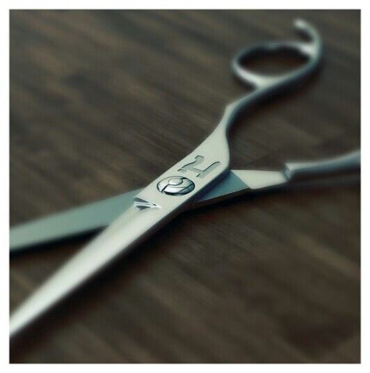 Short Haircut Session