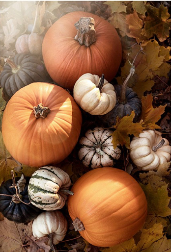 Fall Facial Special