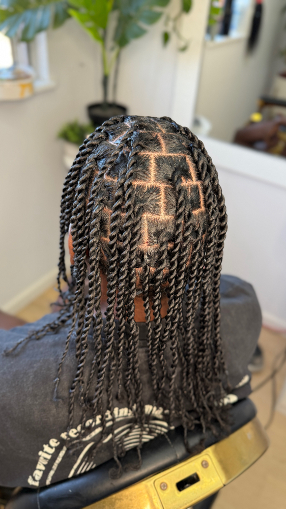 Medium Two Strand Twists