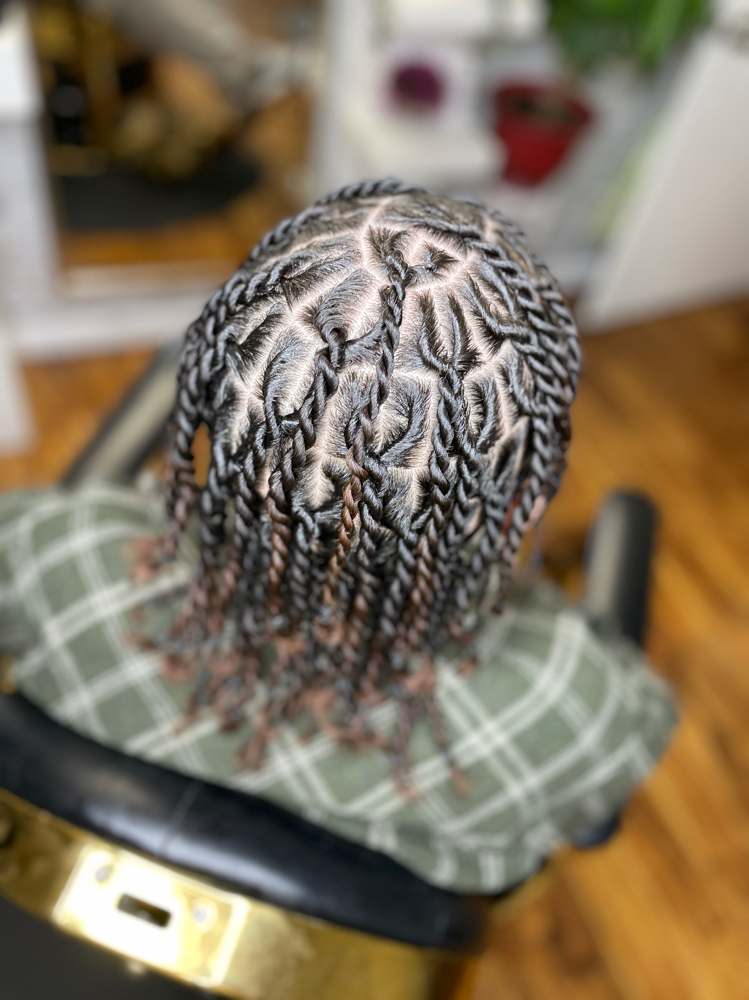 Medium Two Strand Twists
