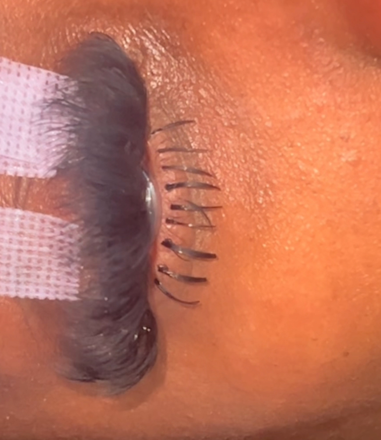Add Bottom Lashes✨ at Jewels Exquisite Touch🦋 in 4097822294 I Will Give It To U, TX