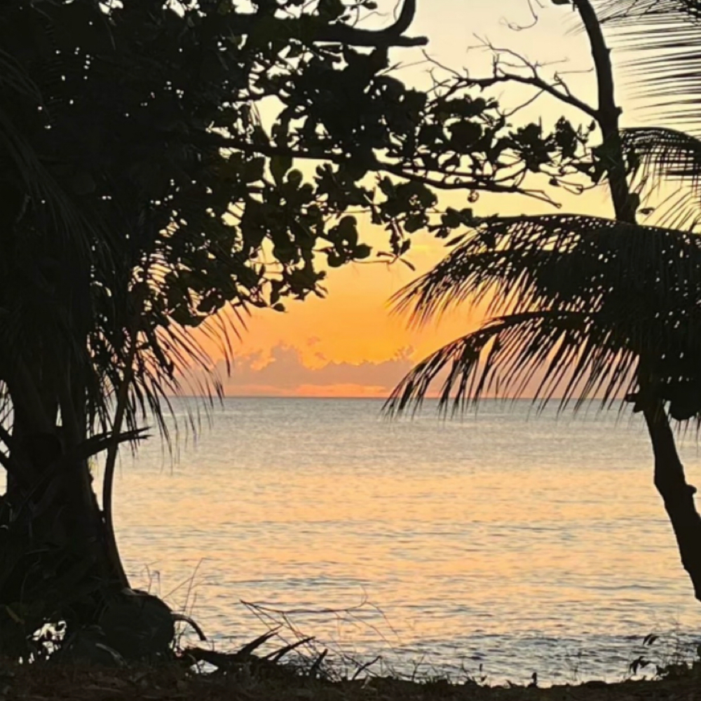 Silent Appointment at THB Studios LLC in Vienna, VA