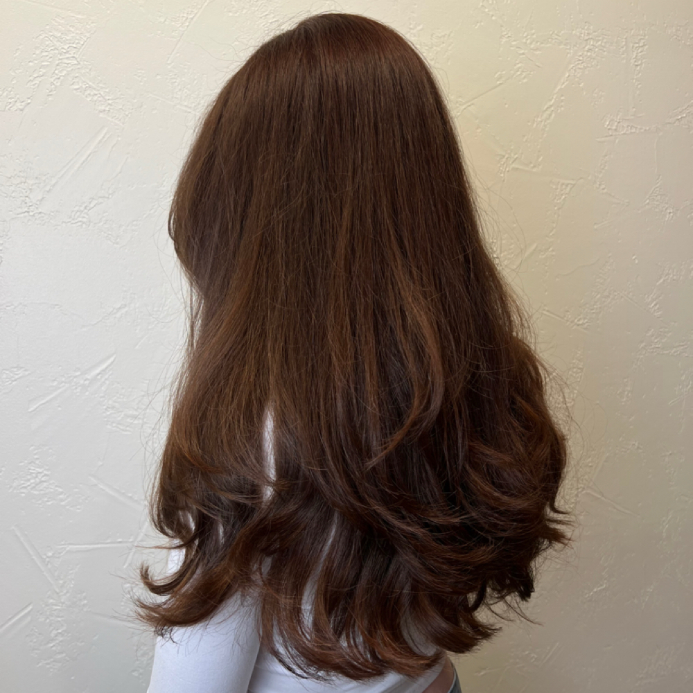 All-Over Color at Beautiful By Gabi in Carmel, IN