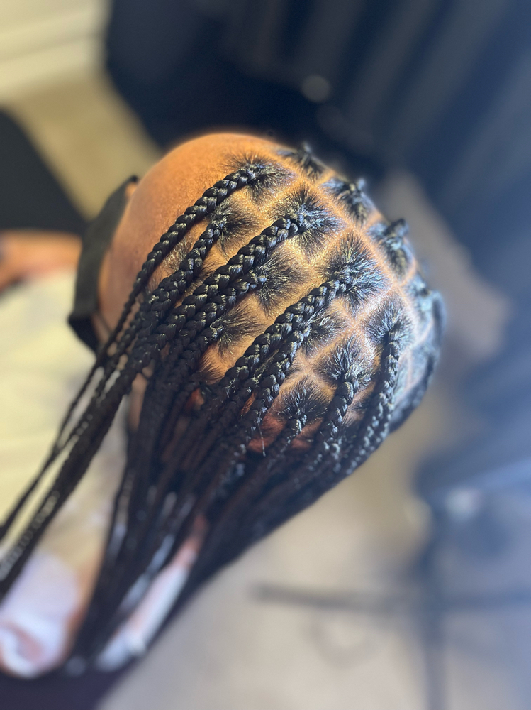 Knotless Plaits Med-Midback