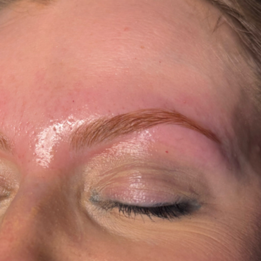 Brow Lamination, Wax + Tint at Beauty By Kaleb H. LLC in North Canton, OH