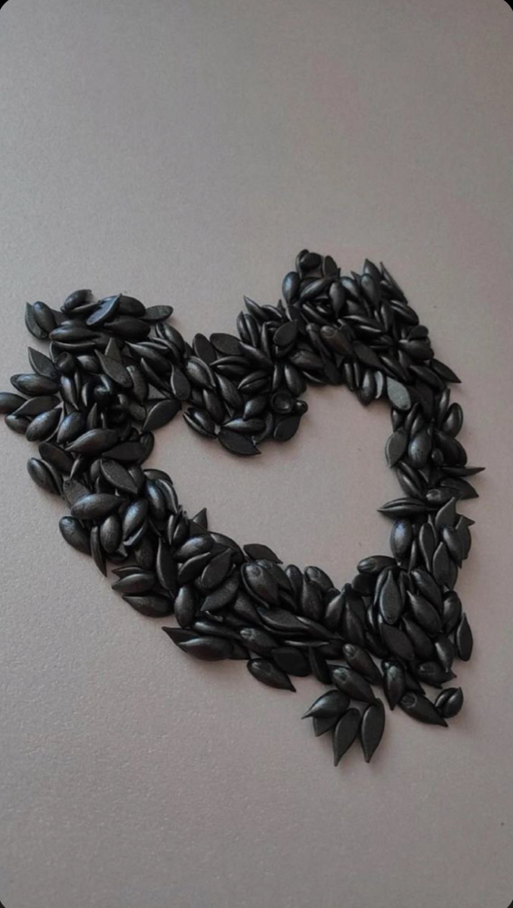 Nose at Well waxed co in Overland Park, KS