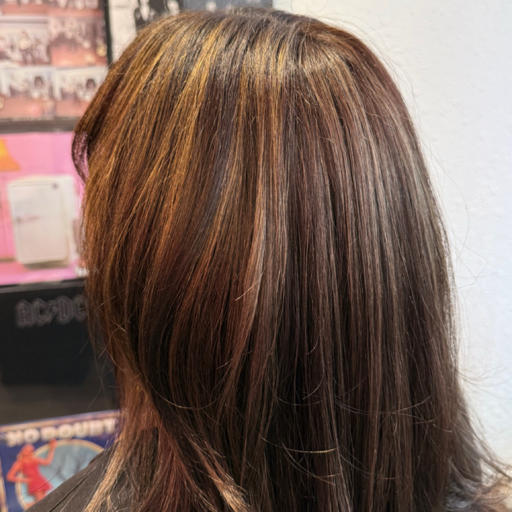 Partial Highlight at BusyScissorhands in Vista, CA
