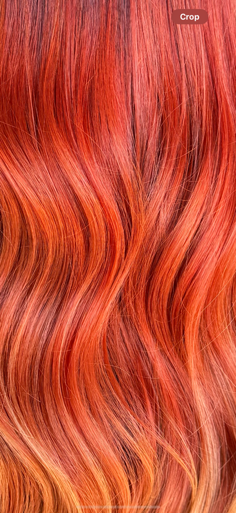 Vivid Transformation