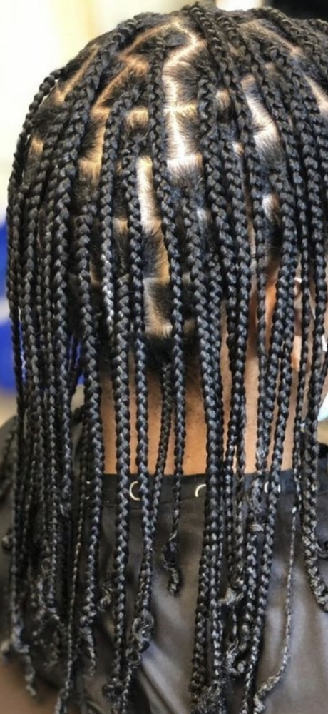 Plaits