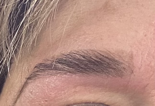 Brow Lamination, Map, Wax, & Tint
