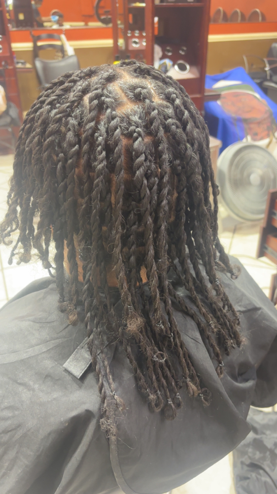Two Strand Twist Natural hair