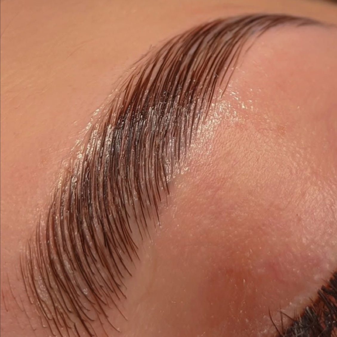 Brow Tinting at The Grove Salon Co. in Rocklin, CA