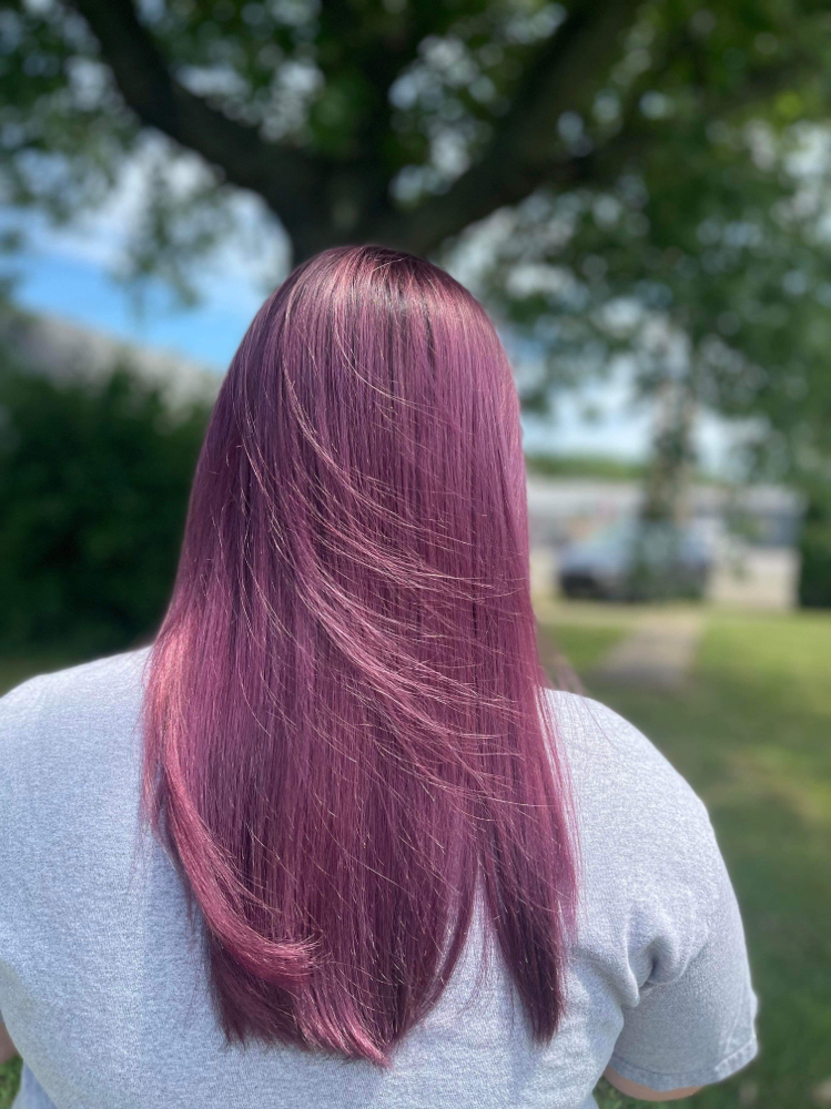 1 All Over Color / Haircut