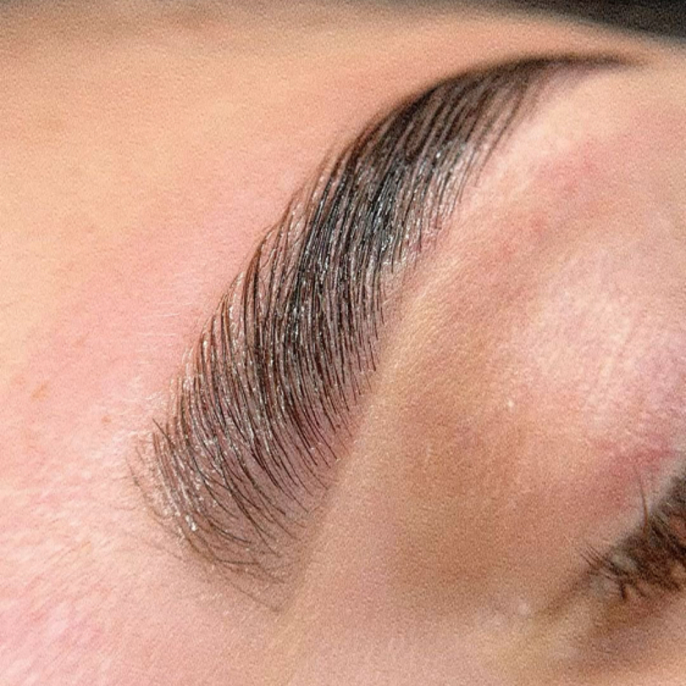 Eyebrow Tint at Made New Aesthetics in Lone Tree, CO