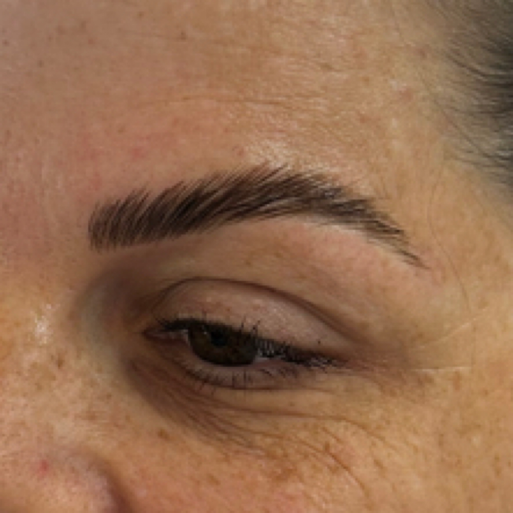Brow Lamination, Wax & Tint at Romi Lash Society in Westchase, FL
